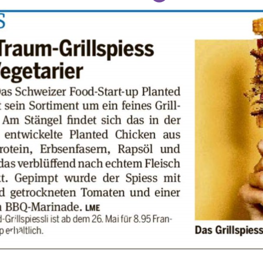 Der Traum-Grillspiess für Vegetarier